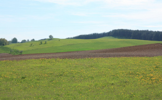 14_Regykla Suopkalnis  1 (2).jpg